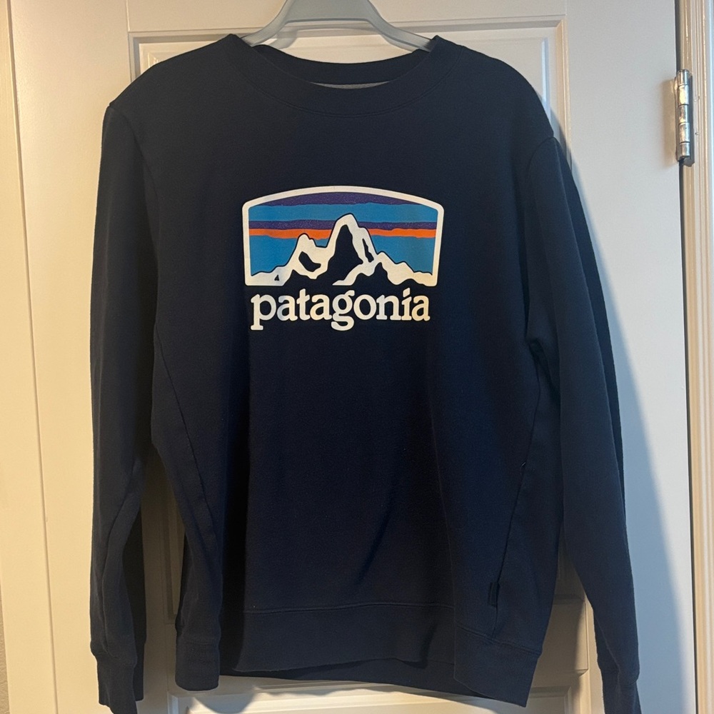 Patagonia Men's Blue Crewneck Sweater